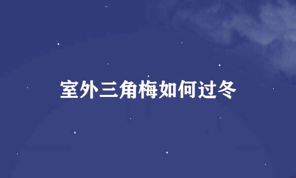 室外三角梅如何过冬