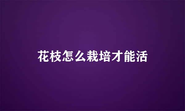 花枝怎么栽培才能活