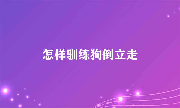 怎样驯练狗倒立走
