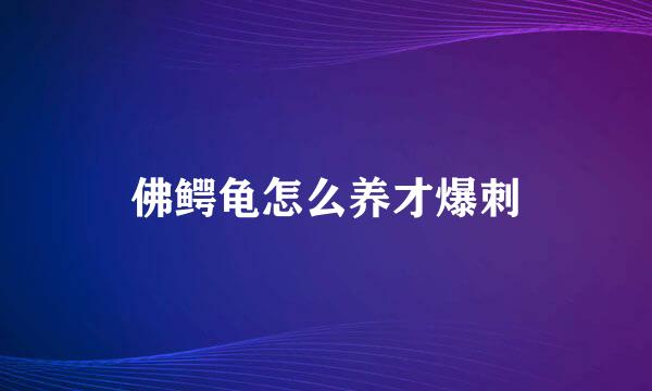 佛鳄龟怎么养才爆刺