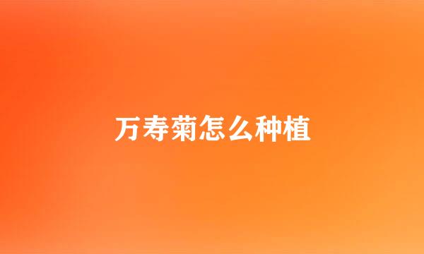 万寿菊怎么种植