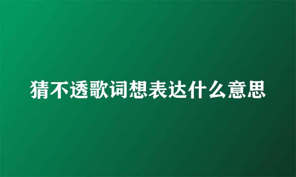 猜不透歌词想表达什么意思