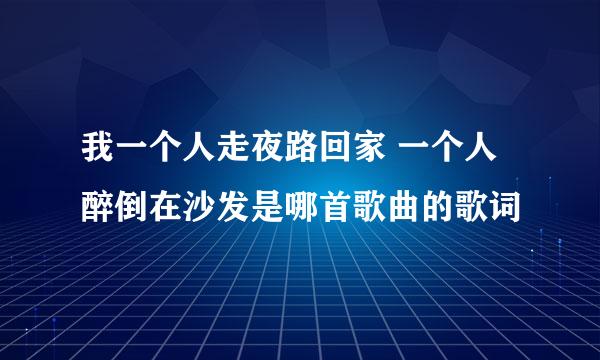 我一个人走夜路回家 一个人醉倒在沙发是哪首歌曲的歌词