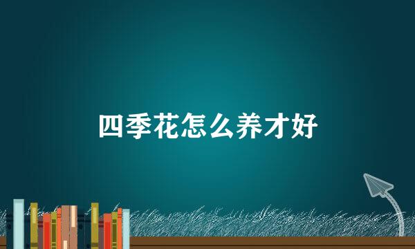 四季花怎么养才好