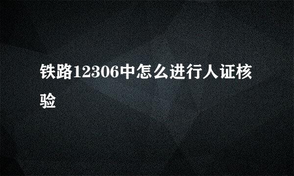 铁路12306中怎么进行人证核验
