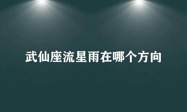 武仙座流星雨在哪个方向