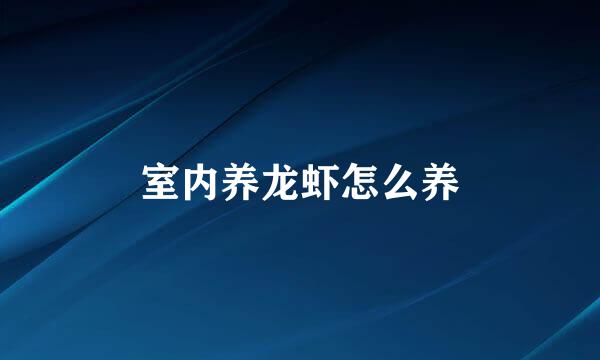 室内养龙虾怎么养