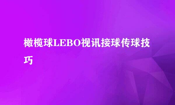 橄榄球LEBO视讯接球传球技巧