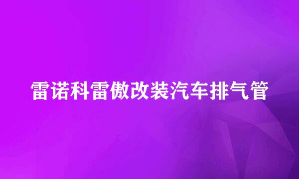 雷诺科雷傲改装汽车排气管