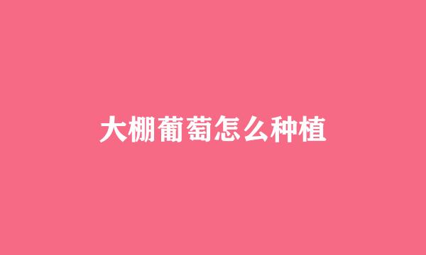 大棚葡萄怎么种植