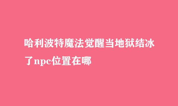 哈利波特魔法觉醒当地狱结冰了npc位置在哪