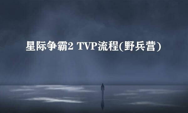 星际争霸2 TVP流程(野兵营)