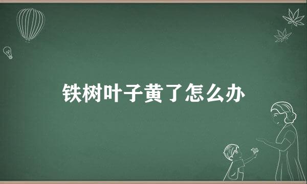 铁树叶子黄了怎么办