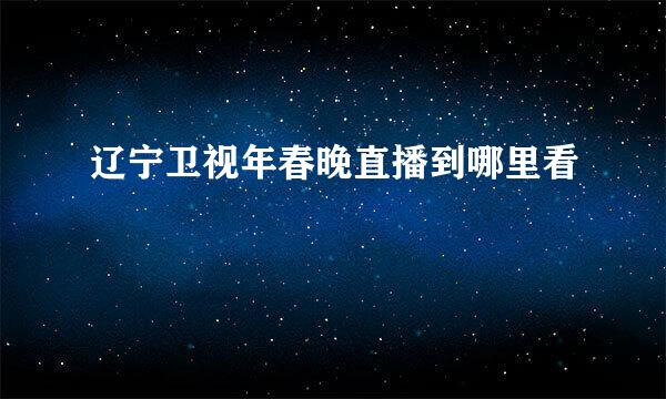 辽宁卫视年春晚直播到哪里看