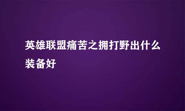 英雄联盟痛苦之拥打野出什么装备好