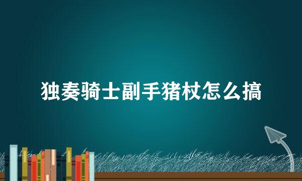 独奏骑士副手猪杖怎么搞