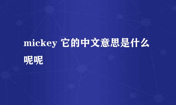 mickey 它的中文意思是什么呢呢