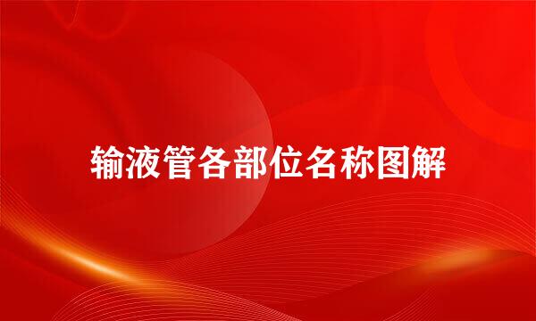 输液管各部位名称图解