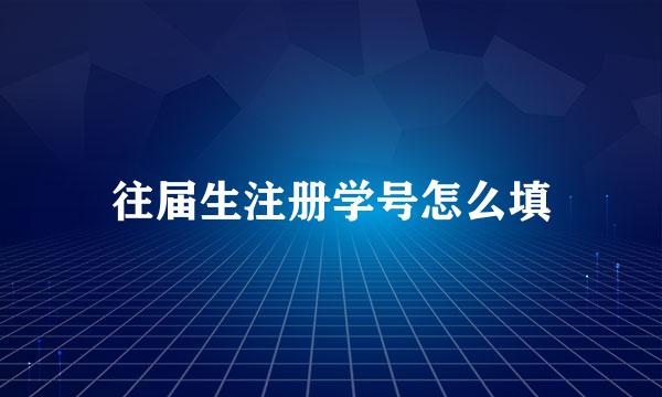 往届生注册学号怎么填