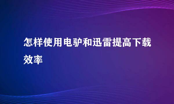 怎样使用电驴和迅雷提高下载效率