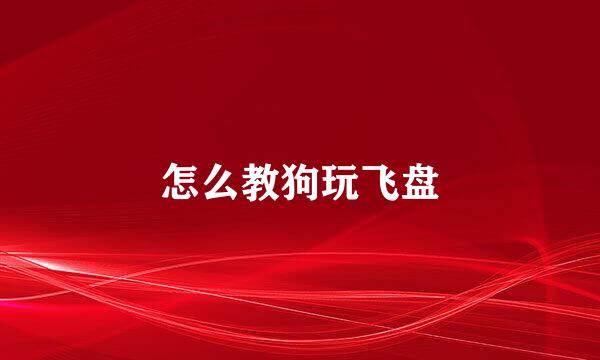 怎么教狗玩飞盘