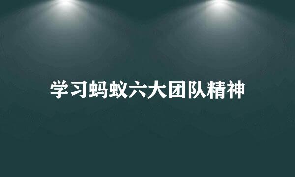 学习蚂蚁六大团队精神
