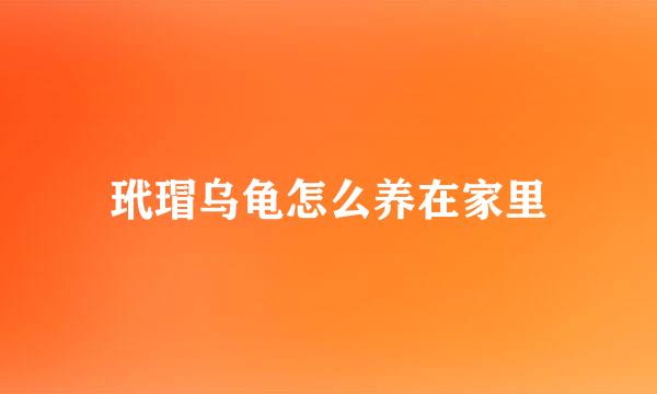玳瑁乌龟怎么养在家里
