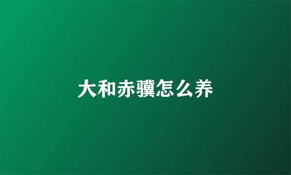 大和赤骥怎么养