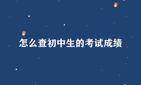 怎么查初中生的考试成绩