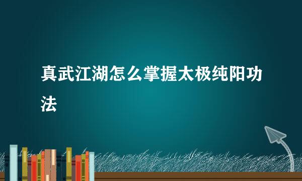 真武江湖怎么掌握太极纯阳功法