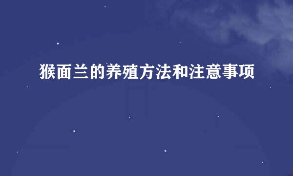 猴面兰的养殖方法和注意事项