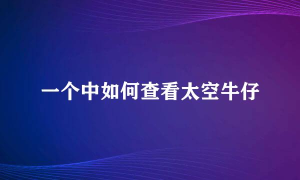 一个中如何查看太空牛仔