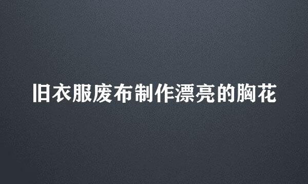 旧衣服废布制作漂亮的胸花