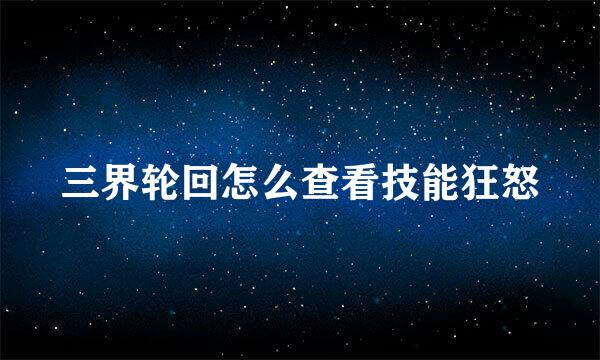 三界轮回怎么查看技能狂怒