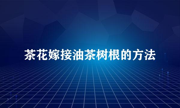 茶花嫁接油茶树根的方法
