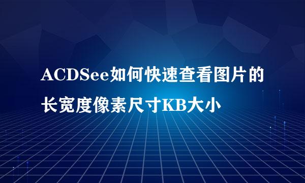 ACDSee如何快速查看图片的长宽度像素尺寸KB大小