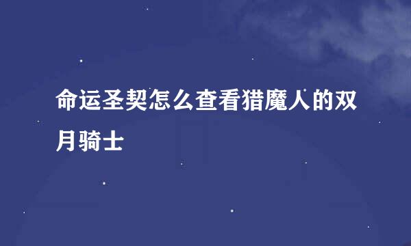 命运圣契怎么查看猎魔人的双月骑士