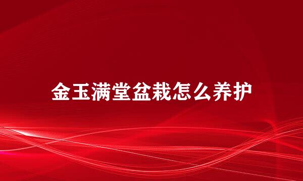 金玉满堂盆栽怎么养护