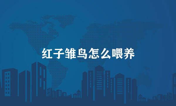 红子雏鸟怎么喂养