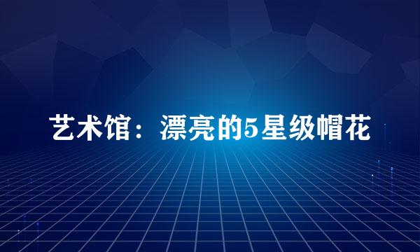 艺术馆：漂亮的5星级帽花