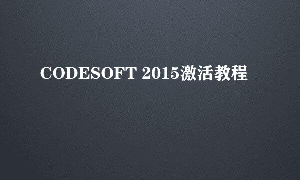CODESOFT 2015激活教程