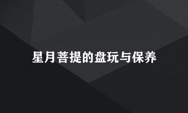 星月菩提的盘玩与保养