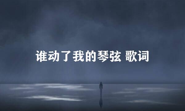 谁动了我的琴弦 歌词