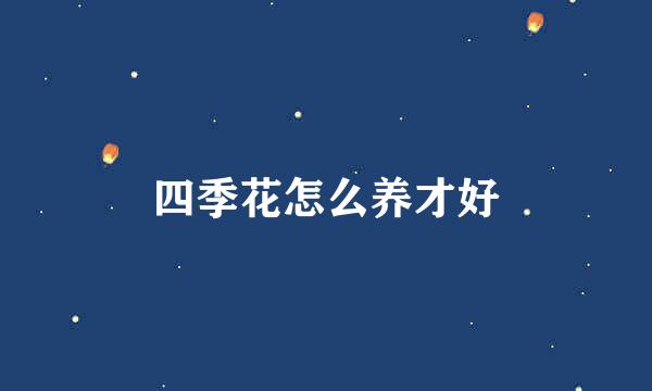 四季花怎么养才好