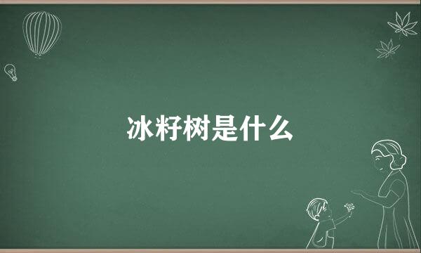 冰籽树是什么