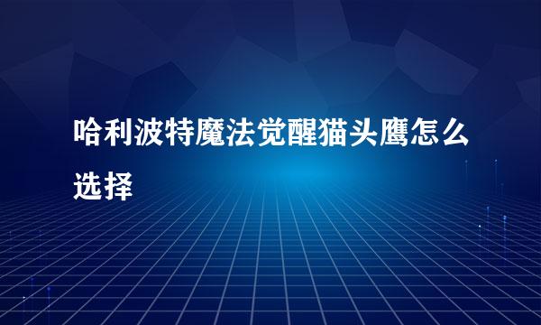 哈利波特魔法觉醒猫头鹰怎么选择
