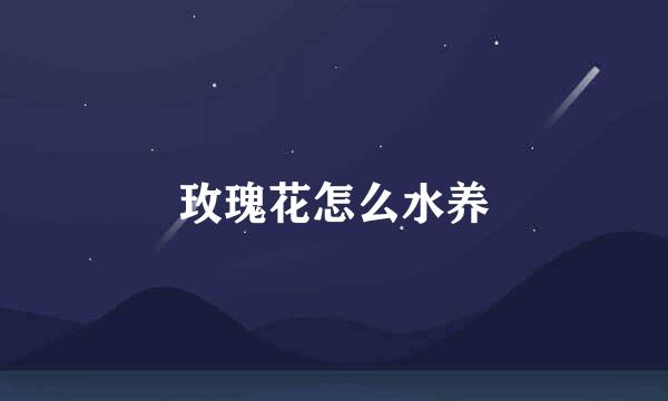 玫瑰花怎么水养