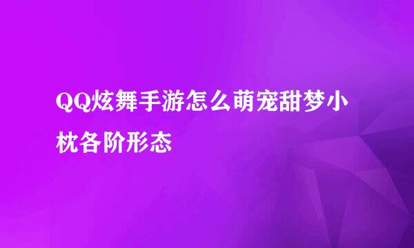 QQ炫舞手游怎么萌宠甜梦小枕各阶形态