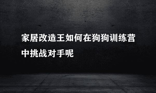 家居改造王如何在狗狗训练营中挑战对手呢