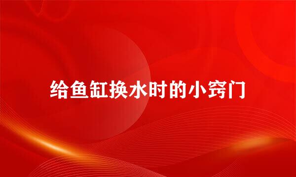 给鱼缸换水时的小窍门